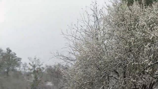 Д Ведено 02,04,2020 смотреть онлайн