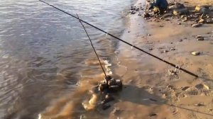 На рыбалке. Приобье. Часть 1