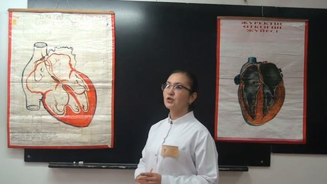 Жүрек қан - тамыр жүйесінің физиологиясы. Жүрек смотреть онлайн