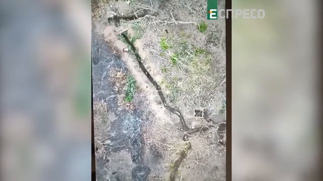 Завелися таргани 128 бригада має рішення смотреть онлайн