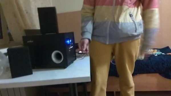 обзор колонок aceline asp-500