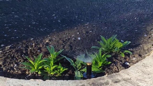 Автополив своими руками дешево и сердито. смотреть онлайн