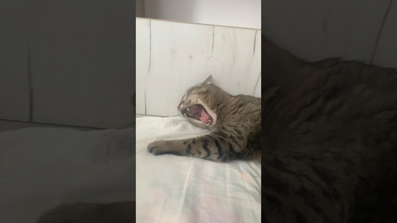  смотреть онлайн