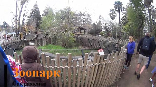 Поход в зоопарк Сакраменто в США смотреть онлайн