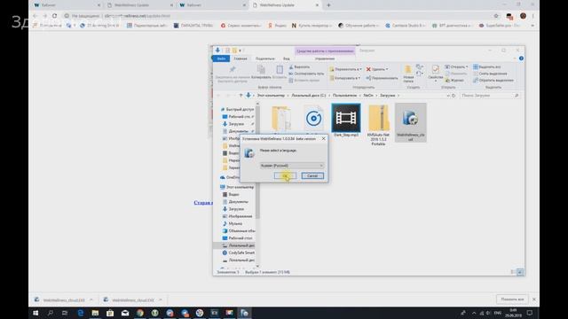 Как установить программу WebWellness на Windows 10 смотреть онлайн