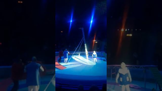 цирк с собаками смотреть онлайн