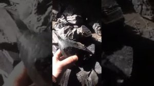 Дробилка-измельчитель резины, покрышек, каучука в крошку