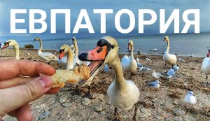 Евпатория, набережная Горького