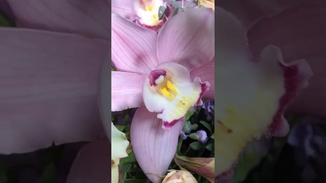 Красивые и недорогие букеты на 8 марта смотреть онлайн