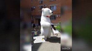 белый мишка поздравляет