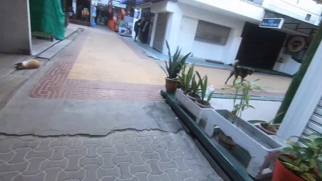 Таиланд куда отправиться? Острова Phi-Phi смотреть онлайн