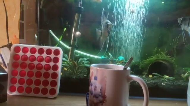 Обзор чая RICHARD смотреть онлайн