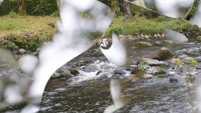 double exposure test 2 смотреть онлайн