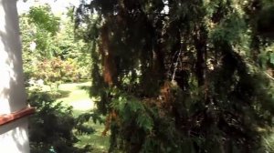 Турция, Queens Park Goynuk 5* - Квинс Парк Гейнюк 5 - наш номер в бунгало (часть 1)