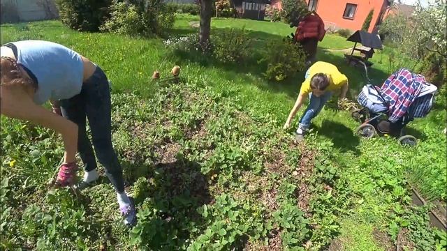 Выходные на даче. Косим траву. Шашлыки в камине. смотреть онлайн