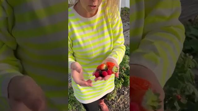 не то что летом ,конечно, ну ничего все - равно съела 😃 смотреть онлайн