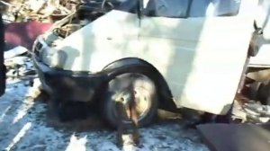 неудачная покупка газели