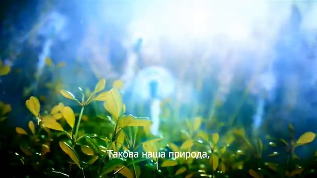 Е С Радханатха Свами Мы люди, пока мы любим смотреть онлайн