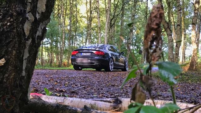 Audi A5 Sportback *MB Design* смотреть онлайн
