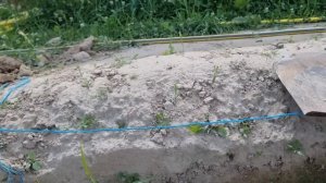 ВЫСОКИЕ ГРЯДКИ С ПРЕИМУЩЕСТВОМ БЫСТРО, БЕСПЛАТНО, И БЕЗ ЗАТРАТ! ПЛОДОРОДИЕ ОБЕСПЕЧЕНО ВСЕМ!