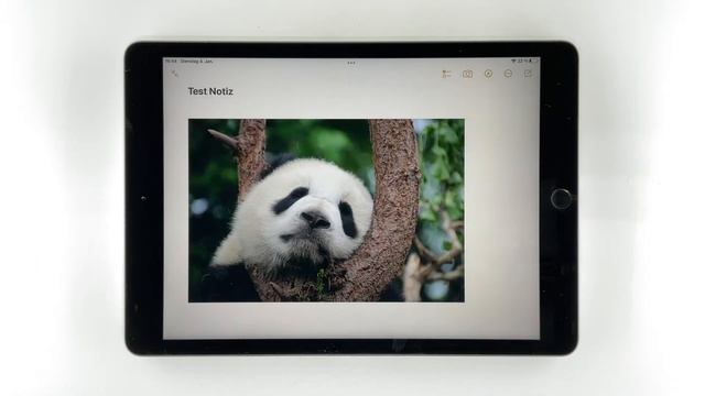 Drag & Drop - Dateien auf dem iPad verschieben und kopieren (iPadOS 15) смотреть онлайн