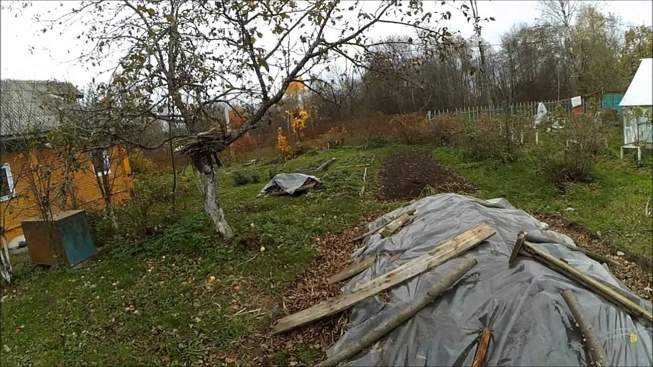 Хранение картофеля // Бурт // Подполье // Жизнь в деревне смотреть онлайн