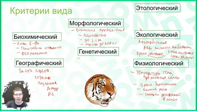Тема №2. Популяция и вид смотреть онлайн