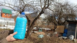 Чтобы яблок было много обработайте деревья этим в апреле! Чем обработать яблоню весной в первый раз?