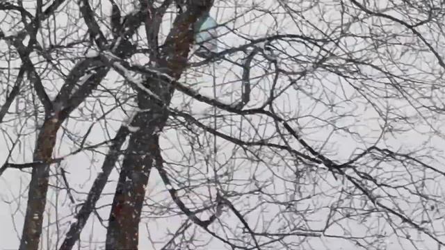 Асбест 6 февраля 2020г смотреть онлайн