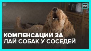 Россиянам разрешили требовать компенсацию за лай соседских собак - Москва 24