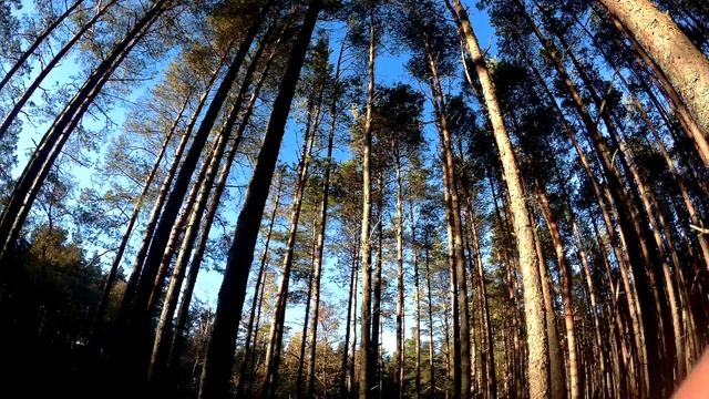 Велотрип по Куршской косе смотреть онлайн