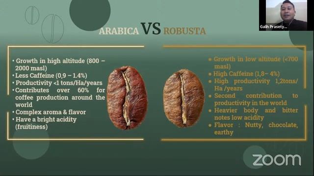 WEBINAR | Coffee Knowledge смотреть онлайн