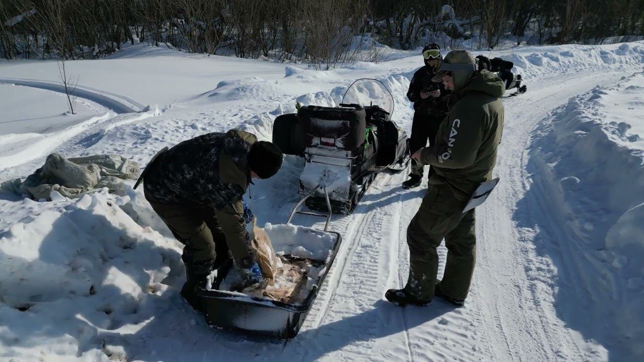 2 марта смотреть онлайн