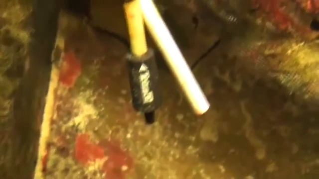 Криптокарионоз - Симптомы и лечение. Дальний родственник ихтиофтириоза смотреть онлайн