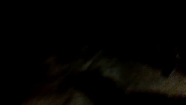 Неожиданная реакция на взрыв петарды. Смотреть до конца