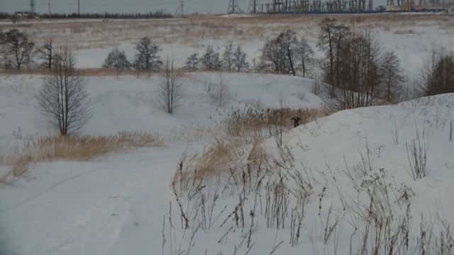 Лыжная трасса у деревни Борисёнки смотреть онлайн