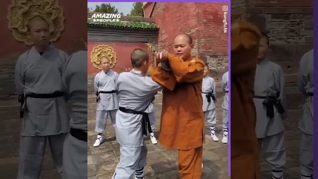 These Martial-Arts Techniques are Amazing смотреть онлайн