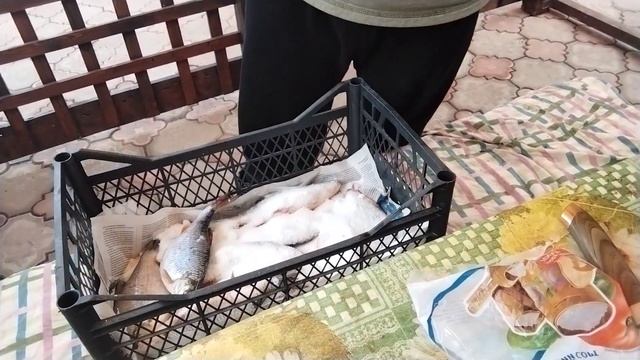 Стоит ли солить рыбу сухим посолом? Как я сделал честный эксперимент. Сухой посол рыбы. смотреть онлайн