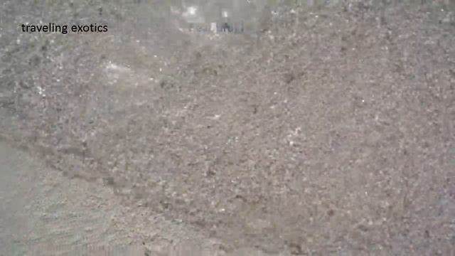 a trip to " Maldives ", video test by Nikon Coolpix W100, nice ! so clear смотреть онлайн