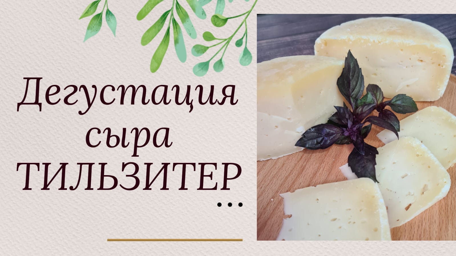 Дегустация сыра Тильзитер