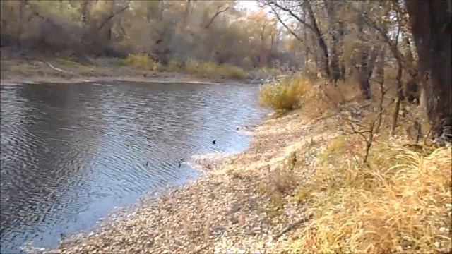 лебяжье в золоте смотреть онлайн