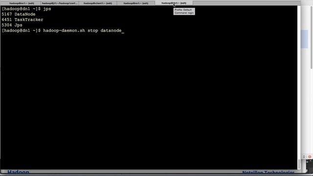Hadoop Decommision Nodes смотреть онлайн