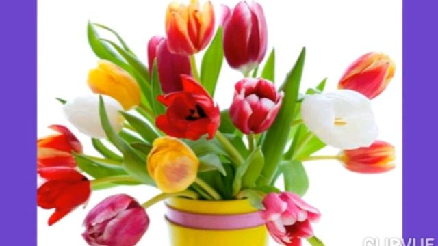 ,,Белая луна