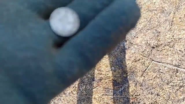 Коп в туле с минелаб стх 3030. смотреть онлайн