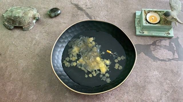 КАК ПОМЕНЯЕТСЯ ВАША ЖИЗНЬ В БЛИЖАЙШУЮ НЕДЕЛЮ_ОТЛИВКА НА ВОСКЕ смотреть онлайн