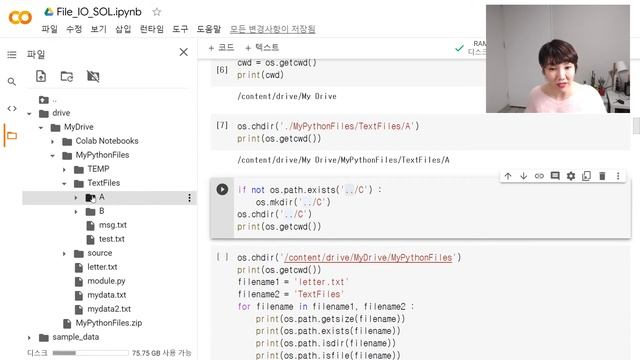 [PYTHON][FileIO_03] 디렉터리 변경 및 확인 | 파일 속성 관련 함수 смотреть онлайн