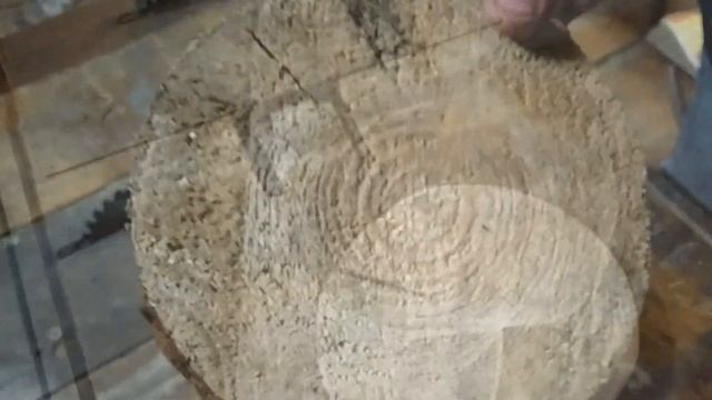 Декоративная рыбка. Просто, но со вкусом.