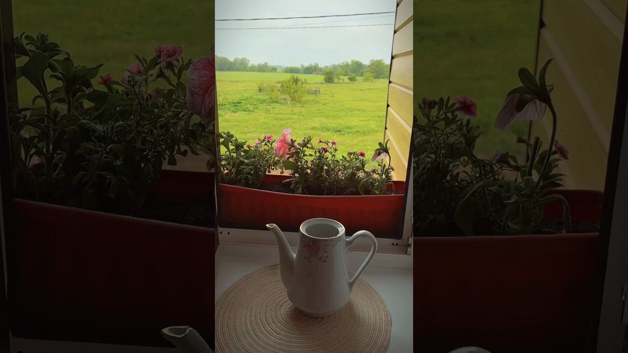 Жизнь на лоне природы #bashkortostan #природа #лето #home #relax #flowers #башкирия #garden смотреть онлайн