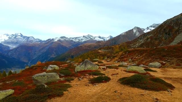 Жена не понимала, почему муж не хочет детей. Но однажды в парке к нему подбежала малышка, назвав... смотреть онлайн