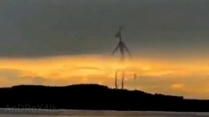 Топ 10 Сиреноголовых снятых на камеру / Топ 10 Сиреноголовых в реальной жизни